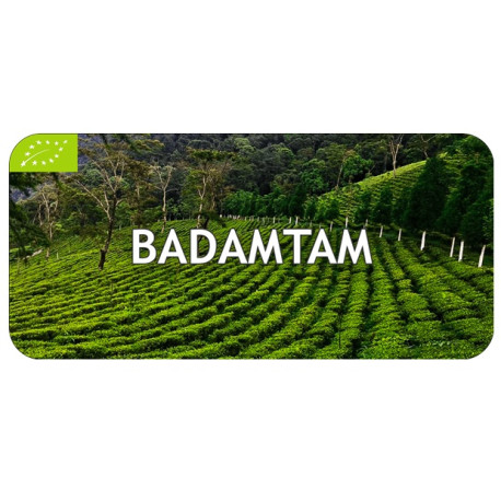 Thé Darjeeling Badamtam First Flush 2024