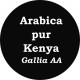 Café Kenya AA Gallia